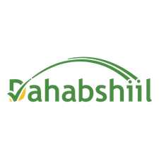 Dahabshiil
